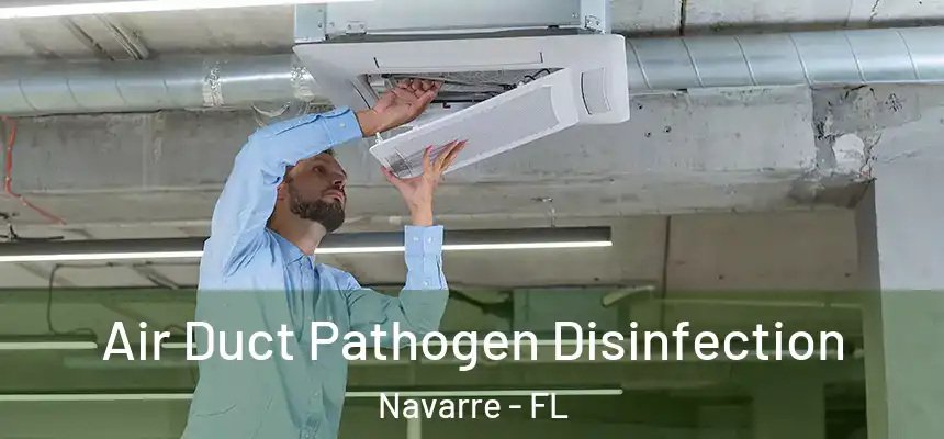 Air Duct Pathogen Disinfection Navarre - FL