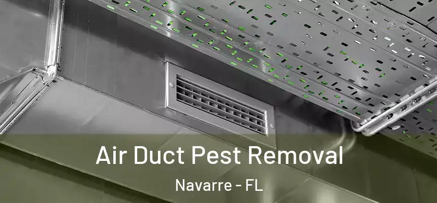 Air Duct Pest Removal Navarre - FL