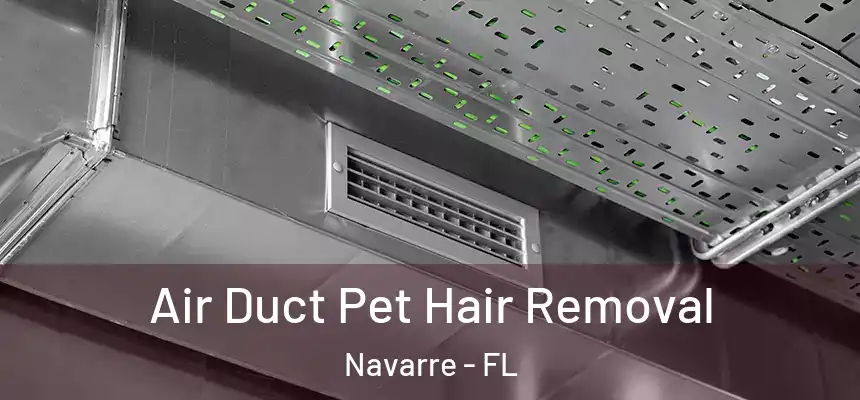 Air Duct Pet Hair Removal Navarre - FL