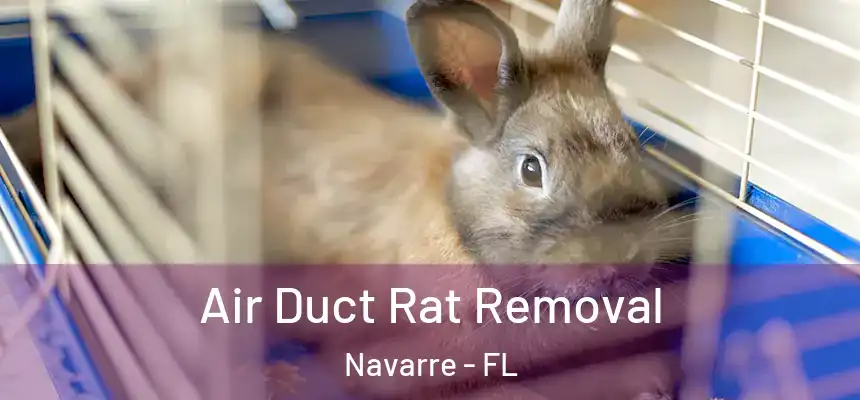 Air Duct Rat Removal Navarre - FL