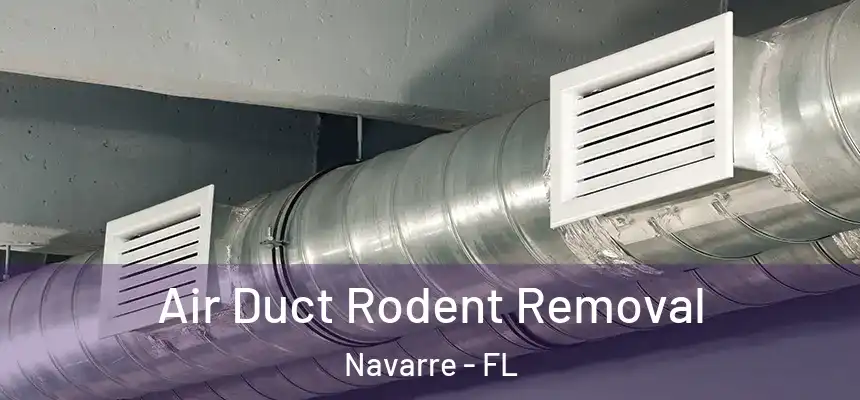 Air Duct Rodent Removal Navarre - FL