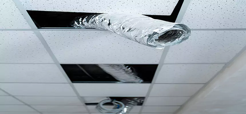 Our Air Duct Pet Hair Removal Services in Navarre, FL