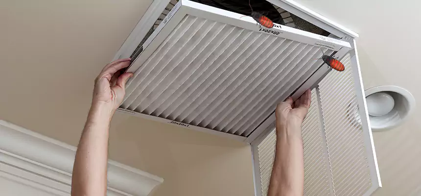Our Insect Removal from Air Ducts Services in Navarre, FL
