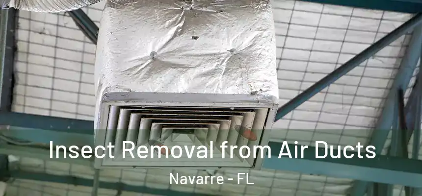 Insect Removal from Air Ducts Navarre - FL