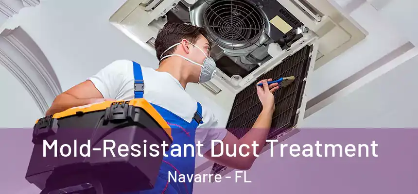 Mold-Resistant Duct Treatment Navarre - FL