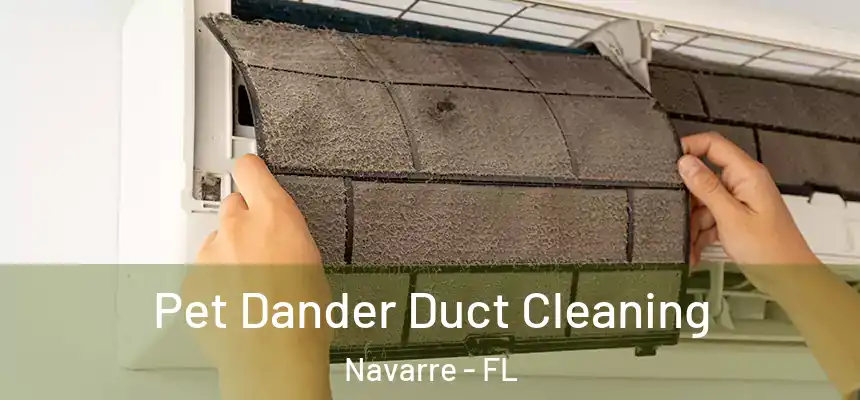 Pet Dander Duct Cleaning Navarre - FL