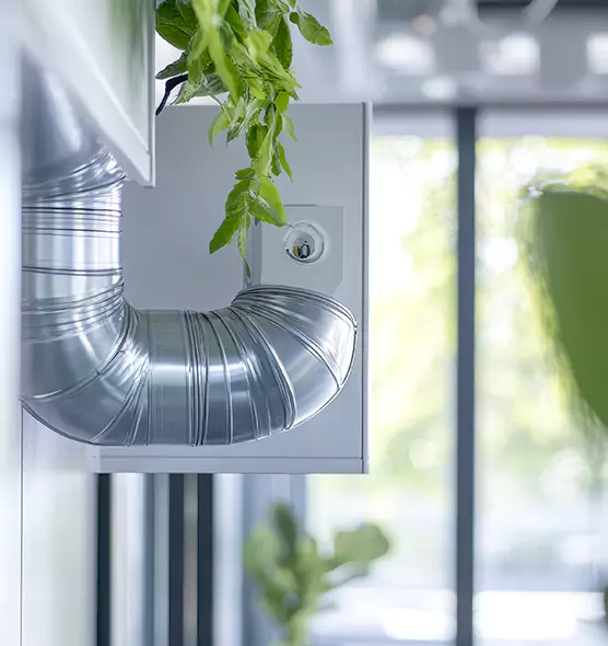 Professional Eco-Safe Dryer Vent Cleaning in Navarre, FL