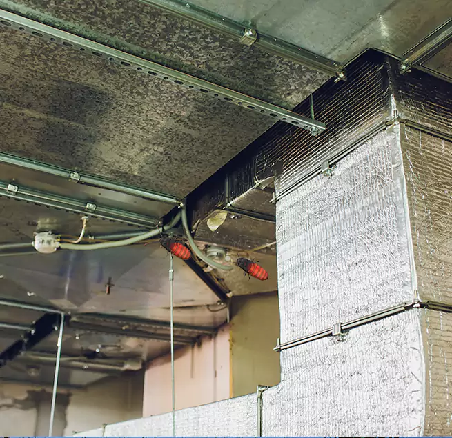 Why Homeowners & Businesses Trust Us in Navarre, FL?