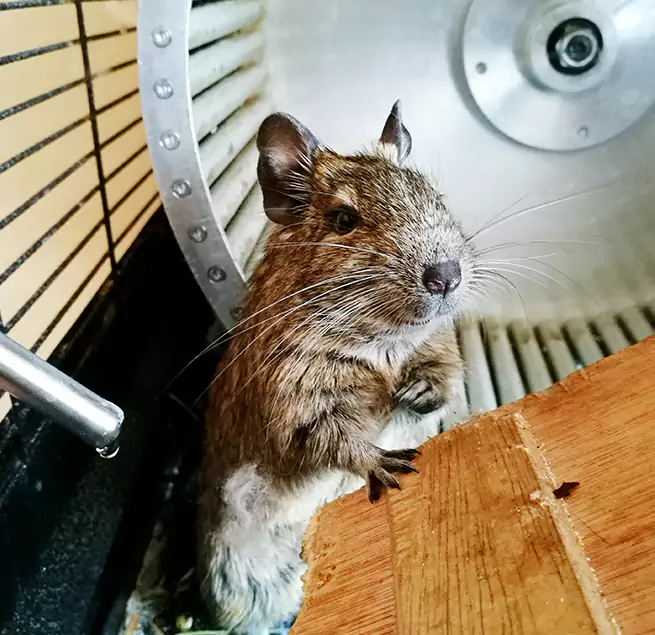 Why Homeowners & Businesses Trust Us Navarre, FL?