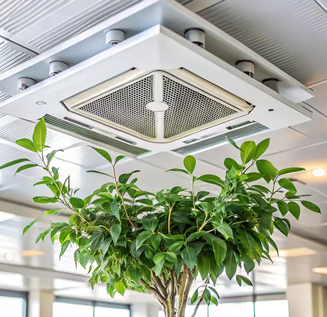 Why Homeowners & Businesses Trust Us in Navarre, FL?