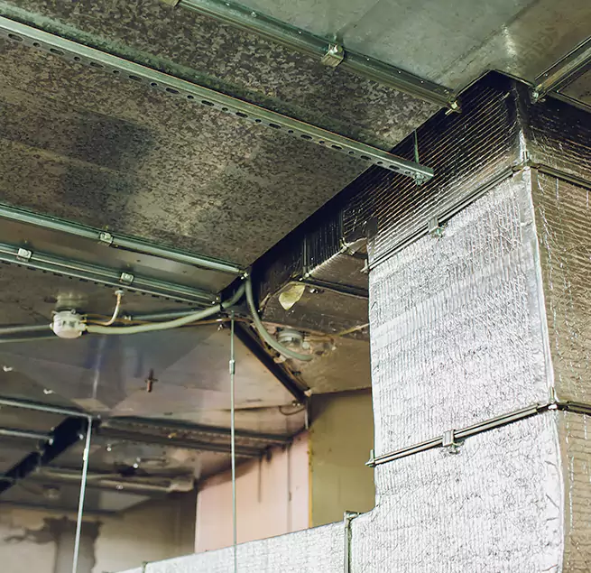 Why Homeowners & Businesses Trust Us in Navarre, FL?